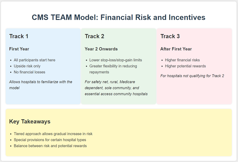 CMS Team Model Financial Risk and Incentives